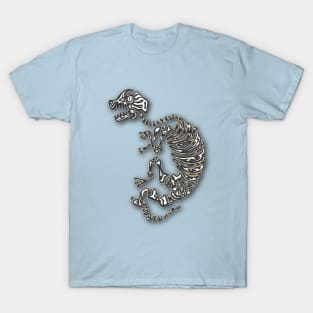 Long Sleep Dino T-Shirt